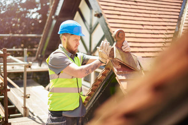 Best Roof Maintenance Services  in Machias, WA
